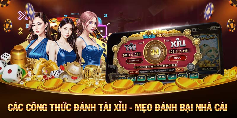 đá gà casino top  🎲game bài đổi thưởng uy tín 2023